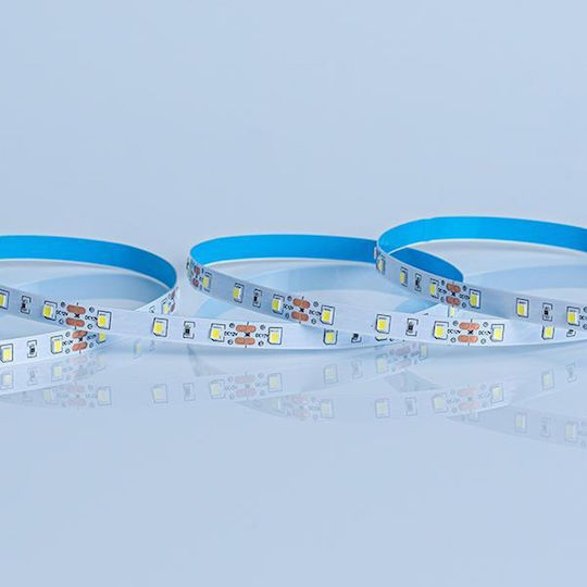 Eurolamp LED Strip 12V Natural White Light 5m