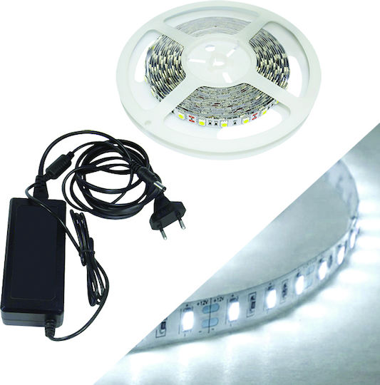 Fos me Waterproof LED Strip 12V Cold White Light 2m with Power Supply