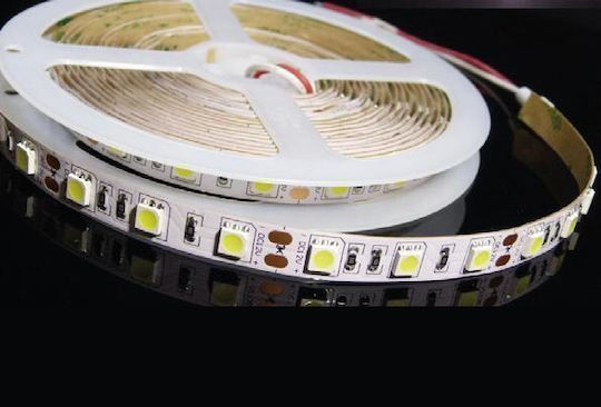 Aca LED-Streifen 24V Warmes Weiß Licht 1m Typ SMD5050