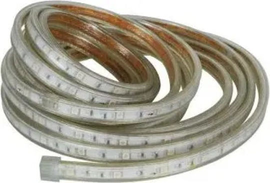 Αδιάβροχη Ταινία LED 12V Μπλε Φως 5m