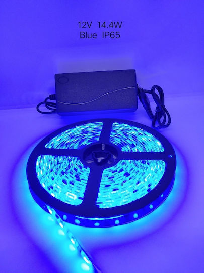 Αδιάβροχη Ταινία LED 12V Μπλε Φως 5m