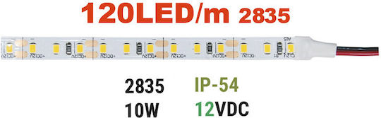 Adeleq Ταινία LED 12V Θερμό Λευκό Φως 5m Τύπου SMD3528