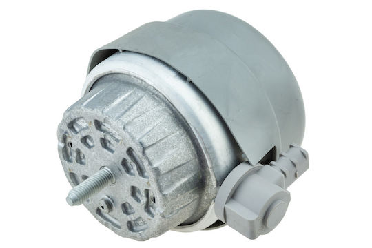 NTY Bază Motor Auto pentru Citroen C6 Audi A6