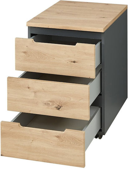 Johnson II Office Drawer 45x55x66cm