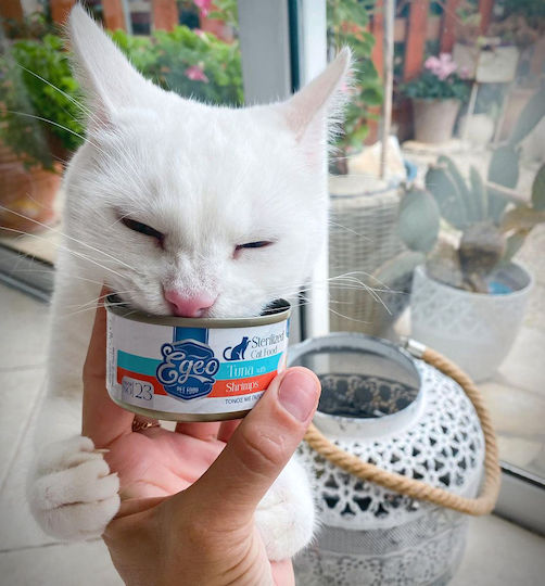 Egeo Pet Food Υγρή Τροφή για Ενήλικες Γάτες σε Κονσέρβα με Τόνο χωρίς Σιτηρά 85gr