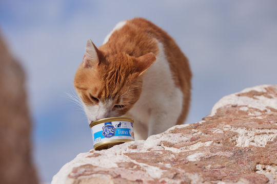 Egeo Pet Food Υγρή Τροφή για Ενήλικες Γάτες σε Κονσέρβα με Τόνο χωρίς Σιτηρά 85gr