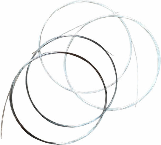 Χορδές Σάζι Ταμπουρά 018mm