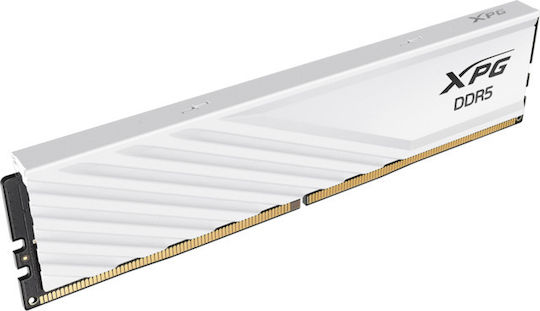Adata Adata Lancer 32GB DDR5 RAM mit 2 Modulen (2x16GB) und Geschwindigkeit 6000 für Schreibtisch