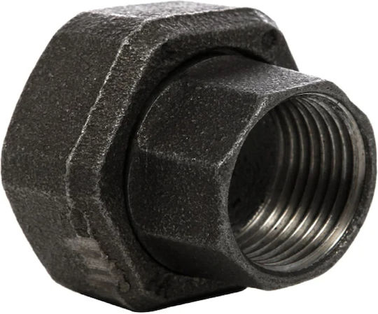 Olandez Pumpe 1" Omnigena Om0123