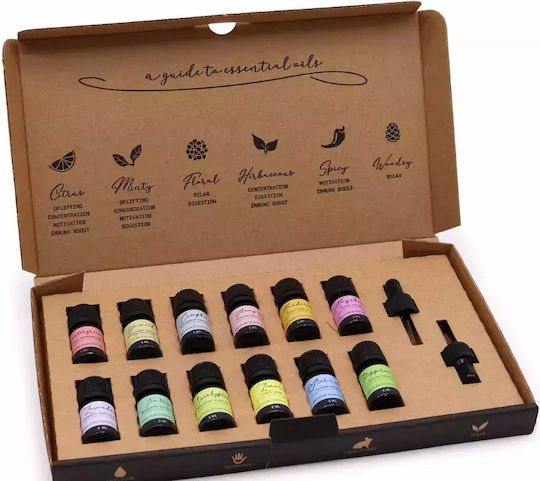 Aromatherapy Set Pure Essential Oils Starter Pack Σετ 12 Αιθέρια Έλαια 5ml