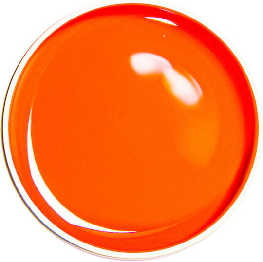 Alezori 04 Gel Νυχιών Πορτοκαλί 10gr