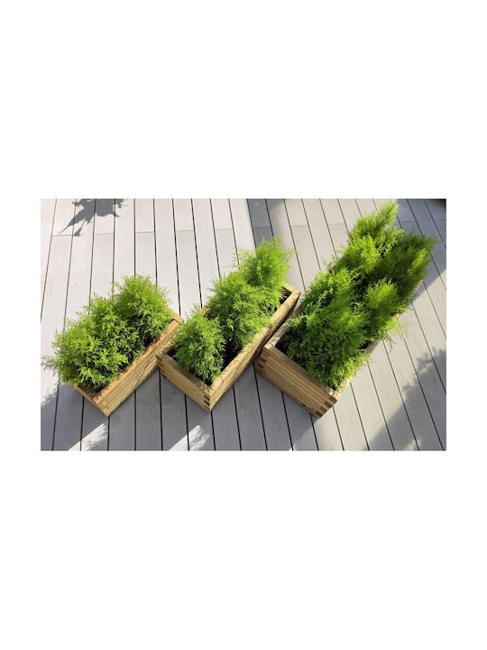 Showood Planter Box Wooden Brown 70x30x28cm.