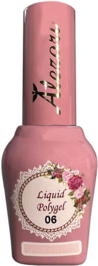 Alezori Gel Νυχιών 06 15ml