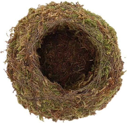 Kokedama Ball Small