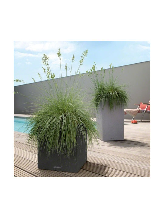 Lechuza Canto Stone Low Αυτοποτιζόμενη Γλάστρα Πλαστική Graphite Black 29.5x29.5x30εκ.
