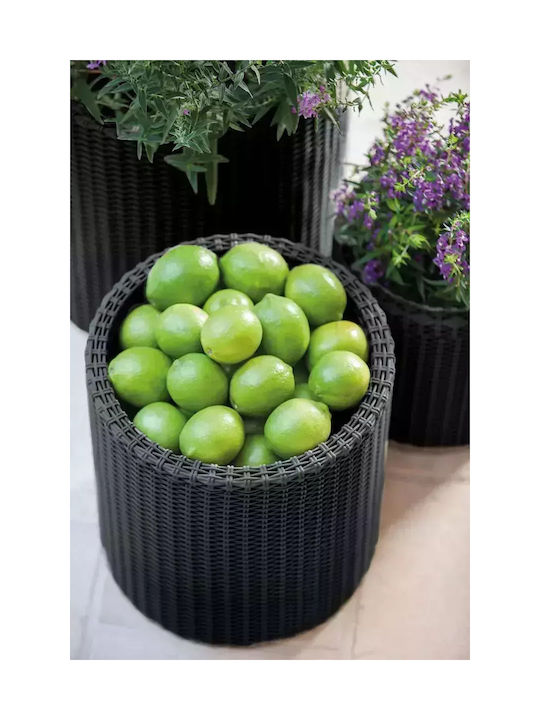 Keter Pot Plastic Brown