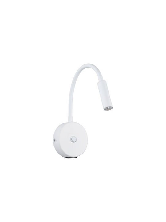 TK Lighting Single Spot with Socket G9 in White Color