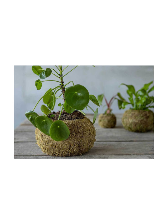 Esschert Design Ball Topf Kunststoff 19.8x19.8x19.8cm.