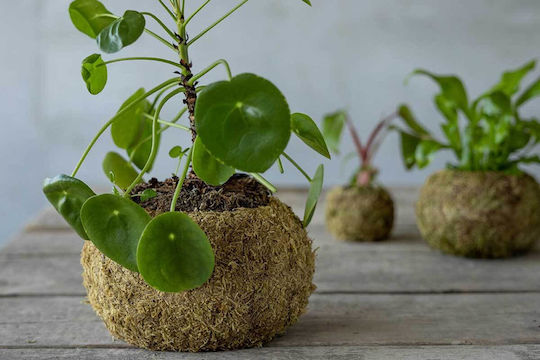 Esschert Design Ball Саксия Пластмаса 19.8x19.8x19.8см.