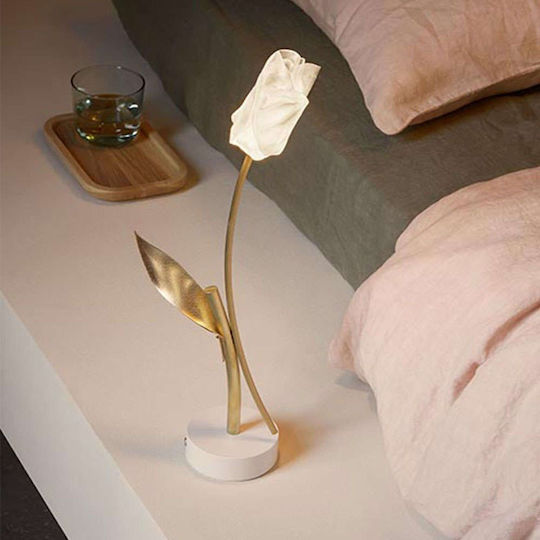 Slamp Φωτιστικό LED Θερμό Λευκό Slamp Φωτιστικό LED Θερμό Λευκό