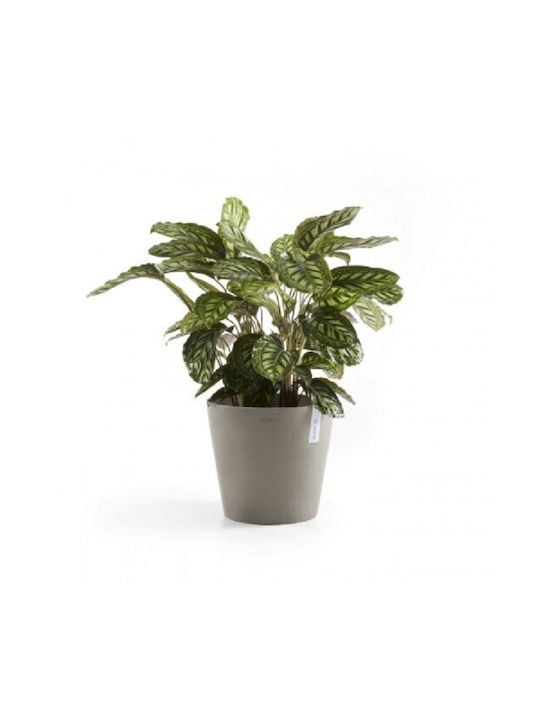 Ecopots Amsterdam Γλάστρα Πλαστική Taupe 40x40x35εκ.