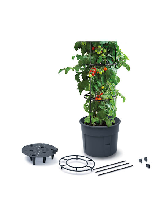 Marhome Tomato Grower Pot Plastic Charcoal 39.2x31.5x153cm.
