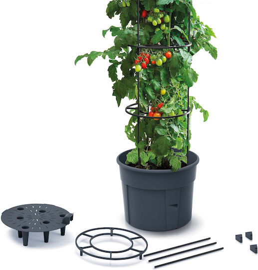 Marhome Tomato Grower Саксия Пластмаса Въглени 39.2x31.5x153см.