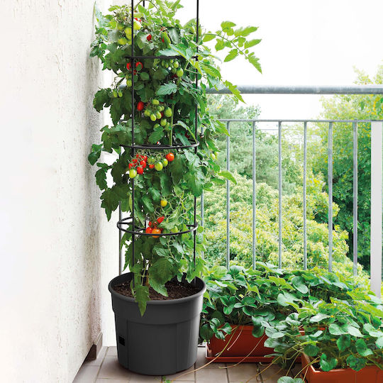 Marhome Tomato Grower Саксия Пластмаса Въглени 39.2x31.5x153см.