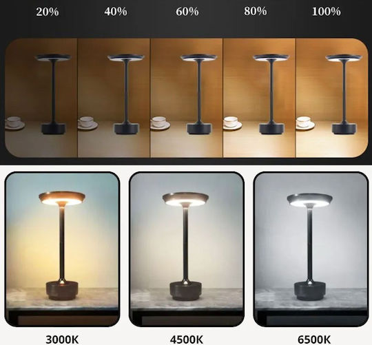 Toolight Decorative Lamp Gray