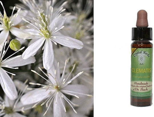 Crystal Herbs Clematis Ανθοΐαμα 10ml