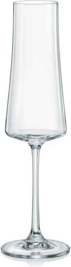 Crystal Bohemia Set of Glasses for White and Red Wine made of Crystal Stemmed 360ml 30pcs