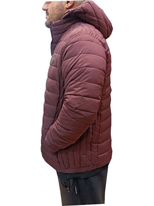 Winter Jacket Puffer Bordeaux