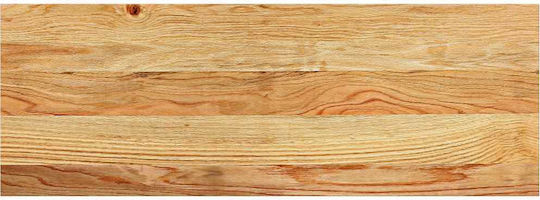 Vidaxl Treppenmatten 20 Stück Hellbraun 70x30x2 cm Eichenholz Braun