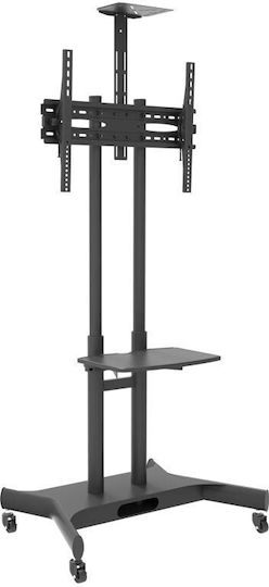 Focus Mount Fixed T633 Стойка за телевизор Подов до 65" и 70кг