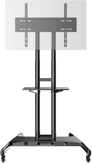Axred ZEUS Βάση Τηλεόρασης Δαπέδου έως 80" και 45.5kg