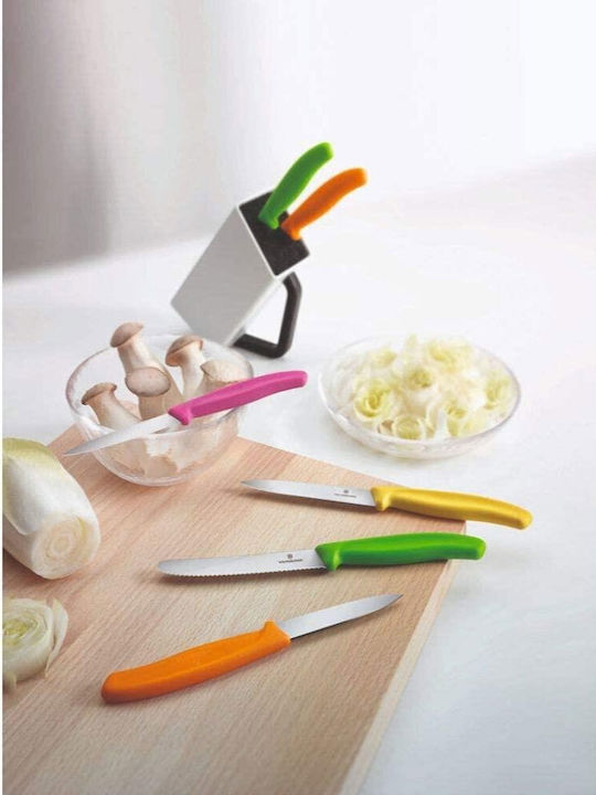 Victorinox Swiss Classic Knife General Use from Stainless Steel 10cm