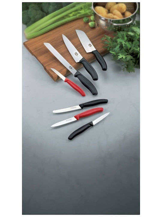 Victorinox Swiss Classic Knife General Use from Stainless Steel 10cm
