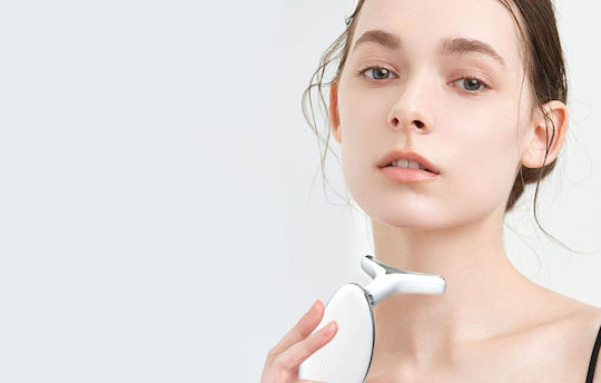 Face Care Device Massage ay-1688