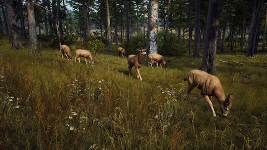 Way of the Hunter Wild Expeditions Xbox Series X Game