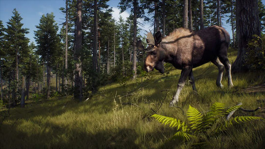 Way of the Hunter Wild Expeditions Xbox Series X Game
