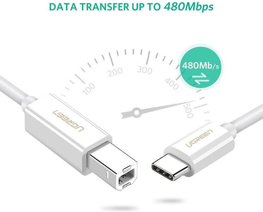 Ugreen US241 USB 2.0 Cable USB-C male - USB-B Λευκό 1.5m 40417