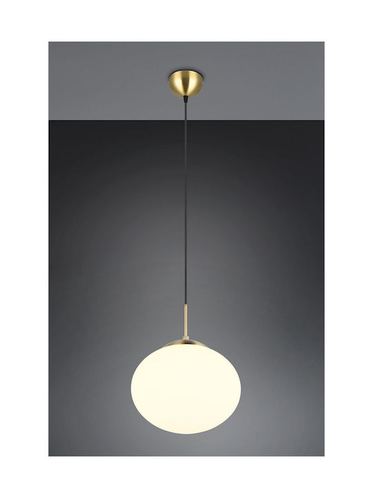 Trio Lighting Pendant Light 30x150cm