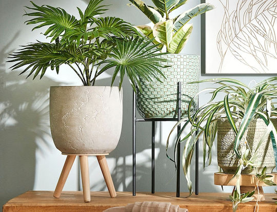 Edelman Plant Pot Concrete Gray