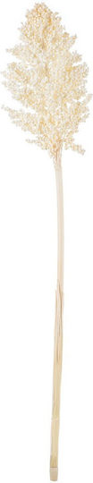 Αποξηραμένο Sorghum 70γρ Ρτ192 Nv-7130192