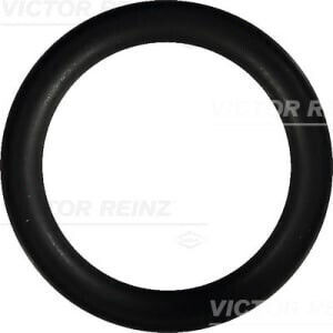 Reinz Intake Manifold Gasket Set