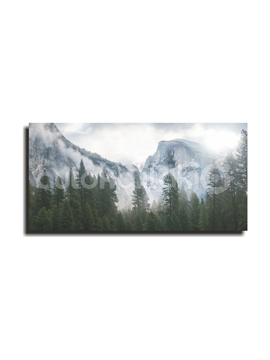 Pictură Munți Înzăpeziți 190cm X 95cm