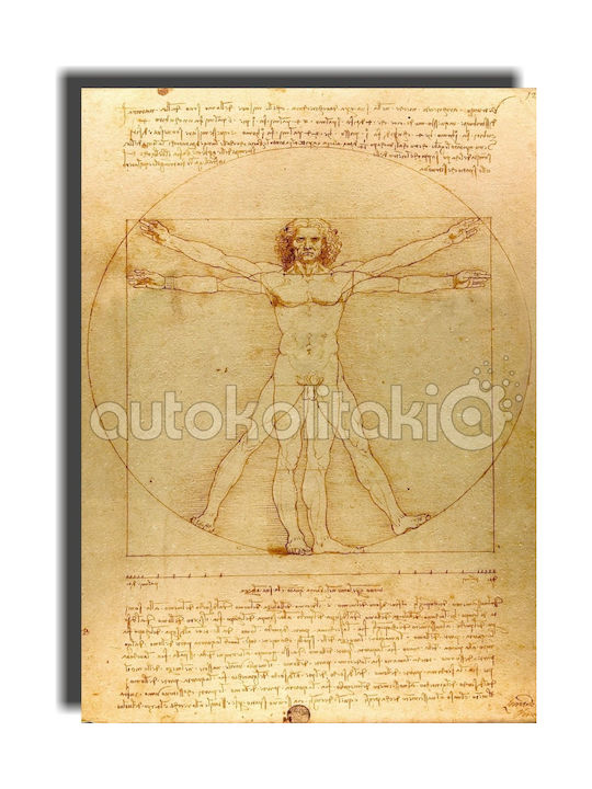 Vitruvian Man Leonardo Da Vinci Replica Painting 80cm X 120cm