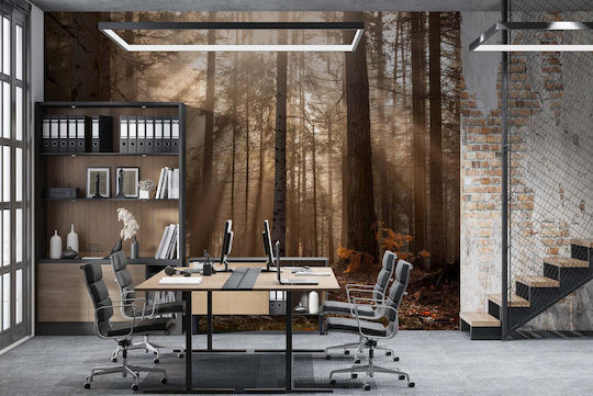Fototapet Modern pentru Living Pădure Copaci Soare 148x220