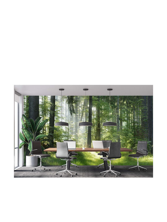Fototapet Decorativ Dormitor Pădure în Soarele Dimineții 148x220