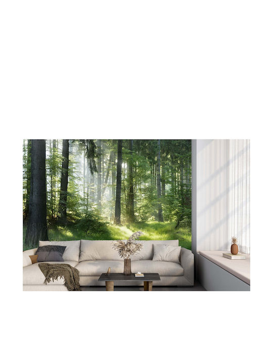 Fototapet Decorativ Dormitor Pădure în Soarele Dimineții 148x220